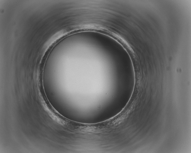 X0000086270991200703291431