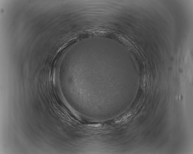 X0000086271010200703291430