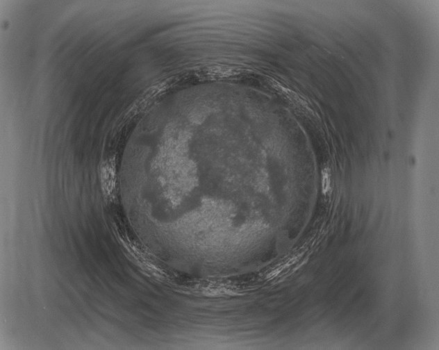 X0000086271011200703291430