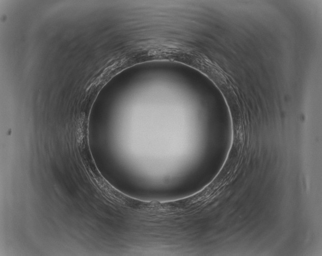 X0000086271012200703291430
