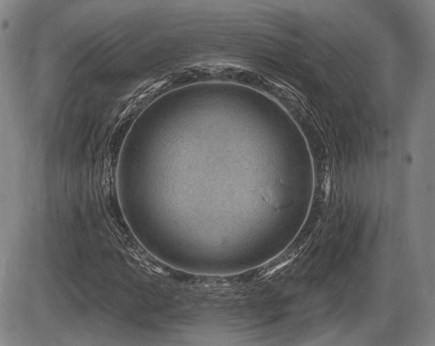 X0000086271014200703291430