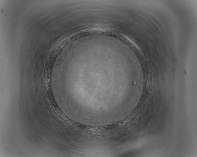 X0000086271015200703291430