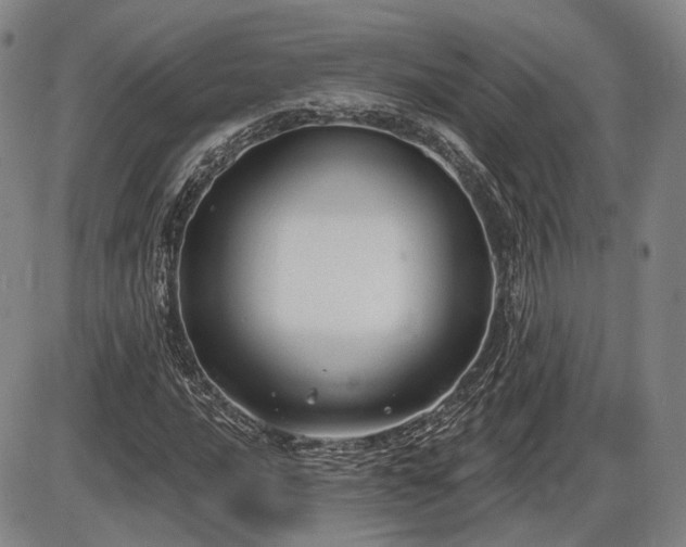 X0000086271016200703291430