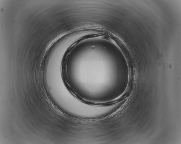 X0000086271018200703291430