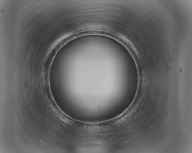 X0000086271019200703291430