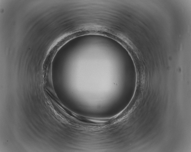 X0000086271022200703291430