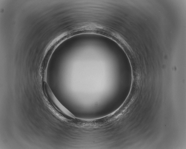 X0000086271026200703291430