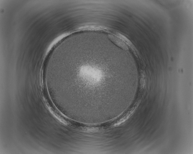 X0000086271030200703291430