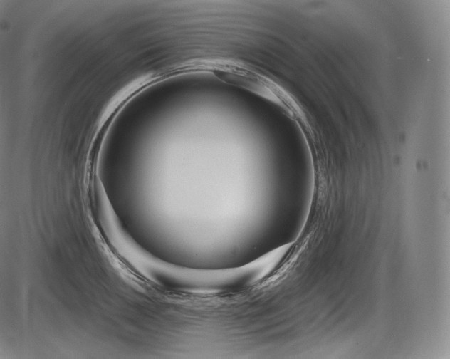 X0000086271050200703291430