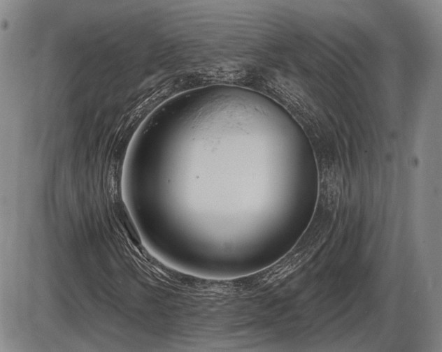 X0000086271058200703291430