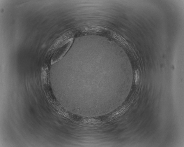 X0000086271059200703291430