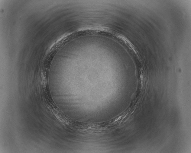 X0000086271064200703291430