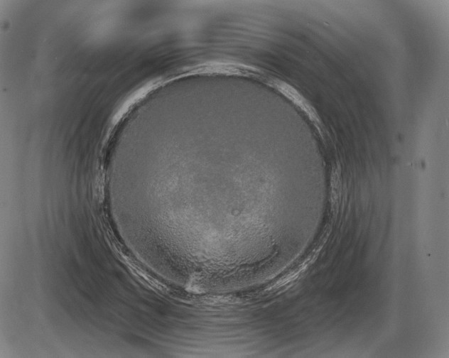 X0000086271067200703291430