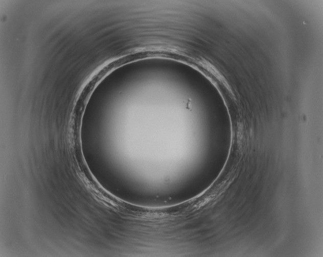 X0000086271068200703291430