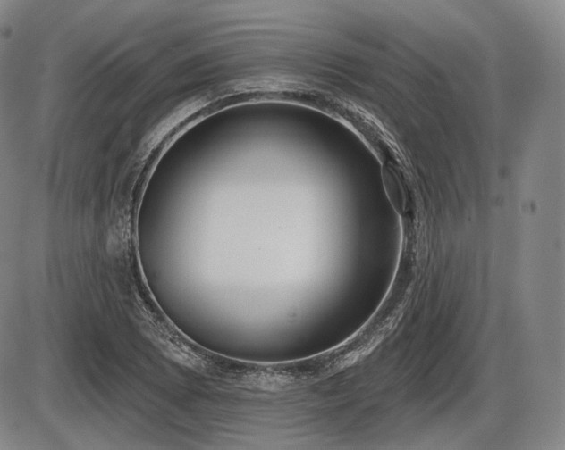 X0000086271073200703291429
