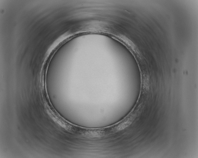 X0000086271078200703291429
