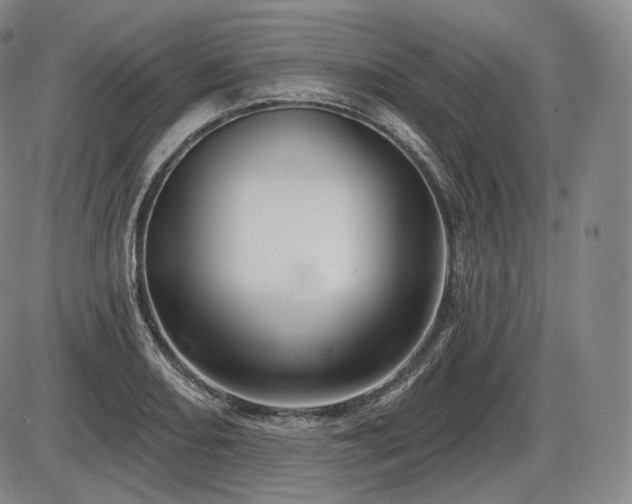 X0000086271082200703291429