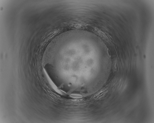 X0000086271105200703291428