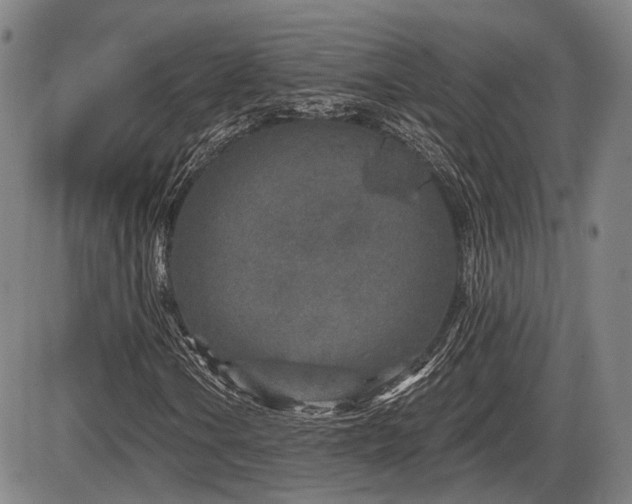 X0000086271106200703291428