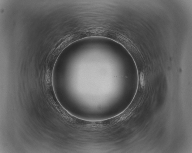 X0000086271107200703291428