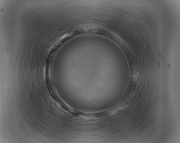 X0000086271108200703291428