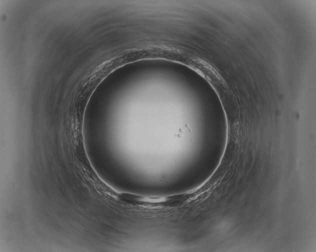 X0000086271111200703291428