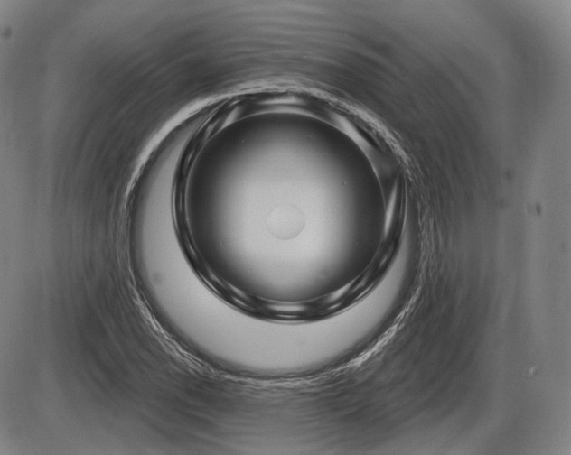 X0000086271118200703291428