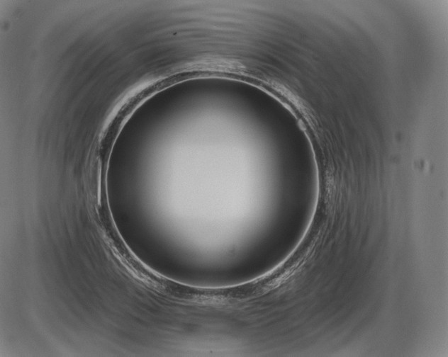 X0000086271123200703291428