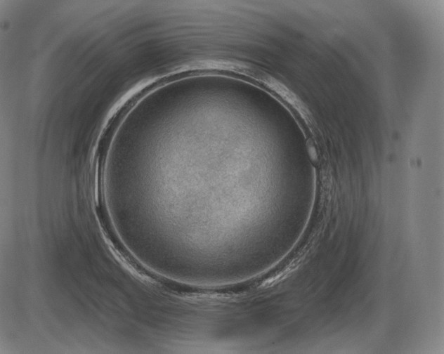 X0000086271127200703291429