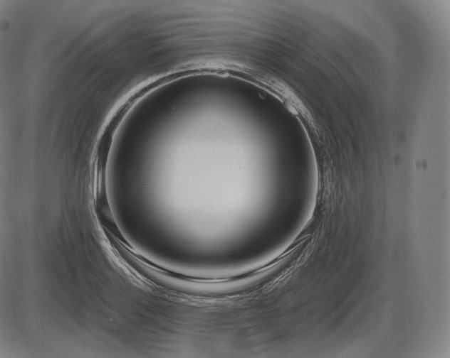 X0000086271132200703291429
