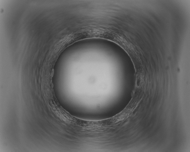 X0000086271153200703291428