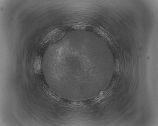 X0000086271154200703291428