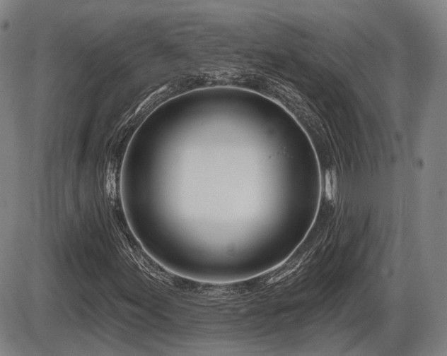 X0000086271155200703291428