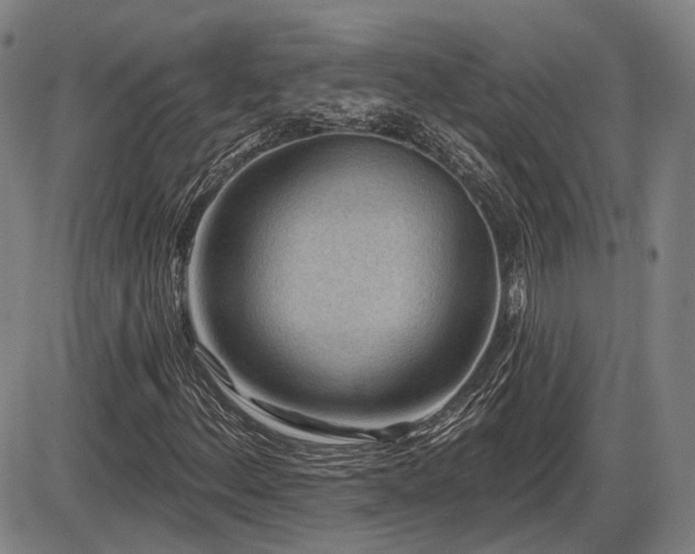 X0000086271156200703291428