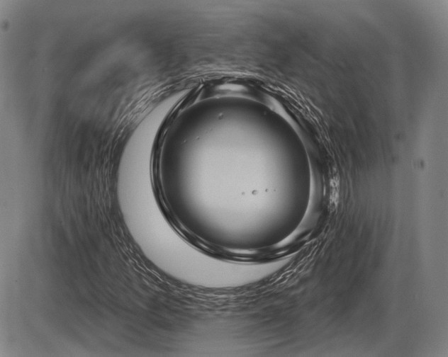 X0000086271157200703291428