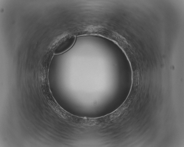 X0000086271158200703291428
