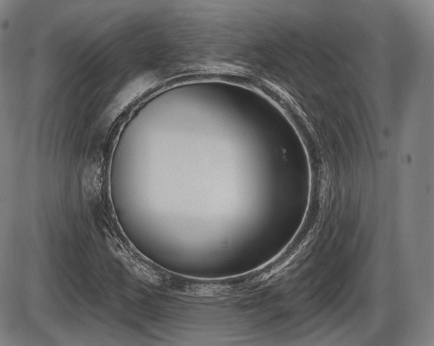 X0000086271163200703291428