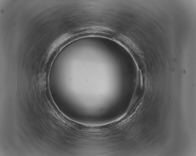 X0000086271164200703291428