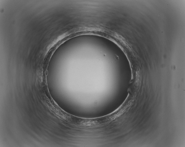 X0000086271165200703291428
