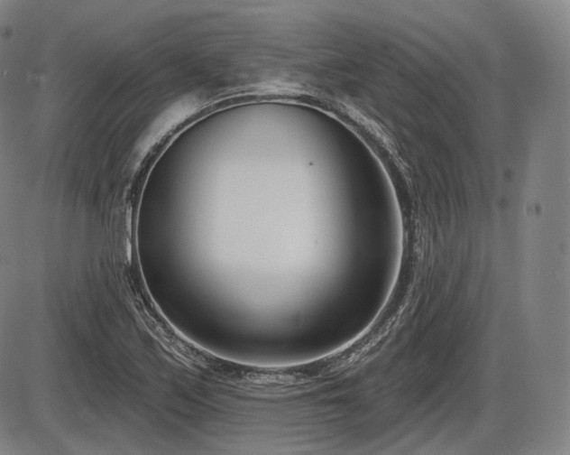 X0000086271171200703291428