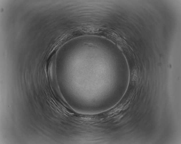 X0000086271202200703291427
