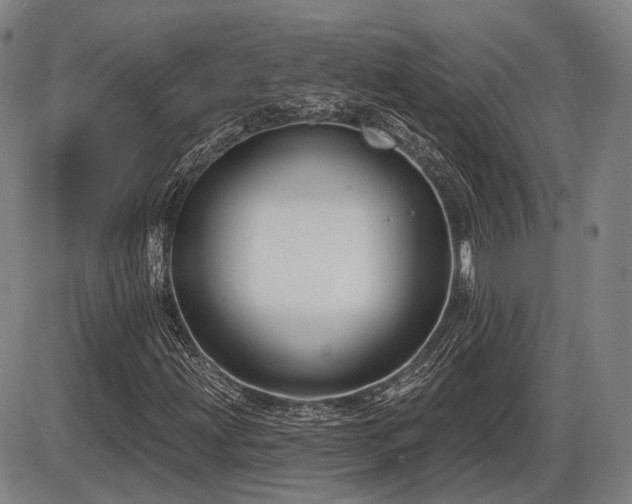 X0000086271203200703291427