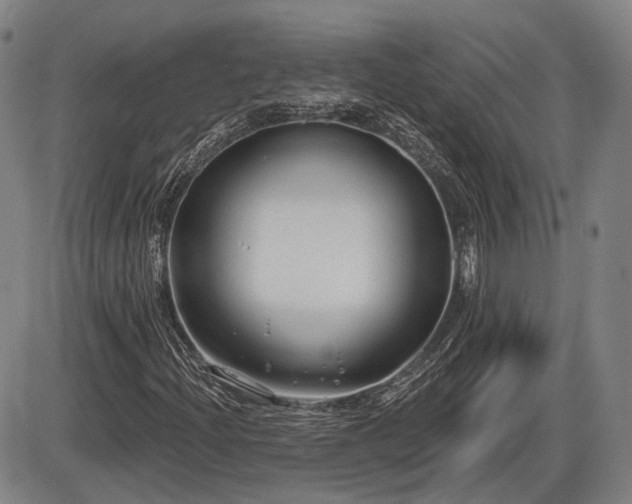 X0000086271204200703291427