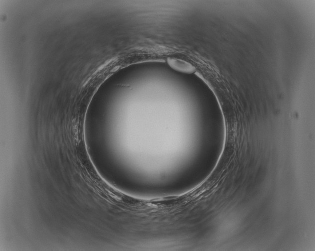 X0000086271205200703291427