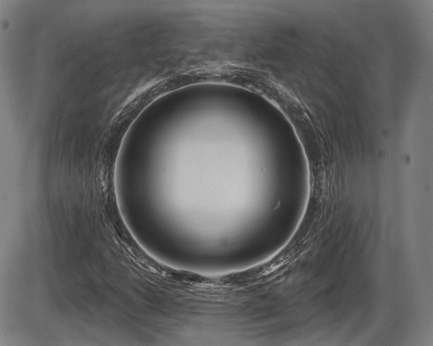X0000086271206200703291427