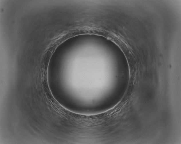 X0000086271207200703291427