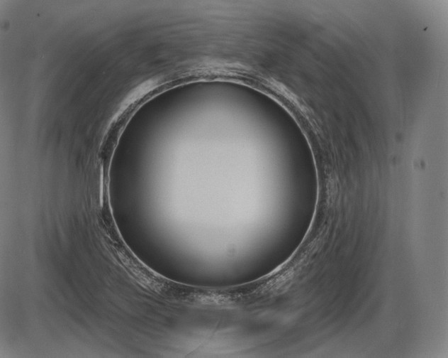 X0000086271219200703291427