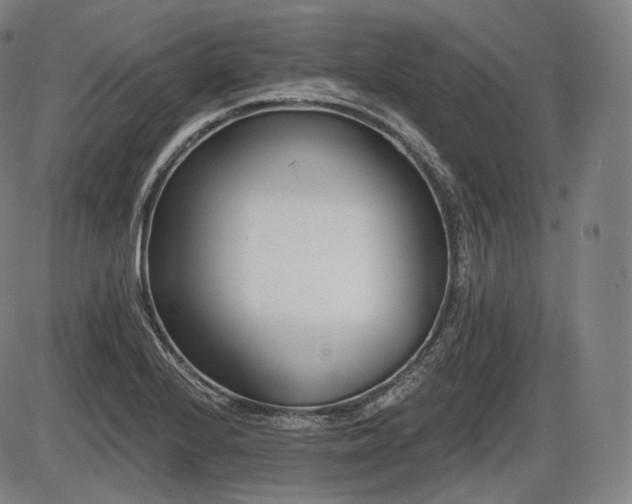 X0000086271224200703291427