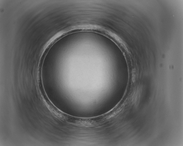 X0000086271229200703291427