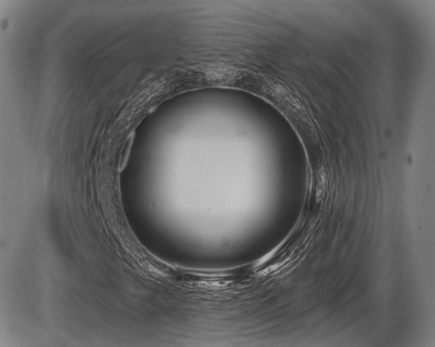X0000086271249200703291427